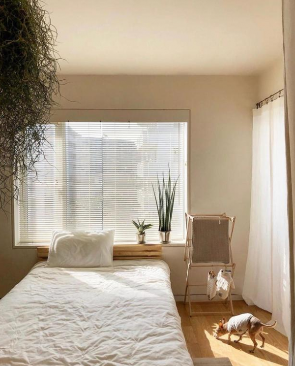 獨居6年！一人獨居有狗相伴，家居佈置得簡單精緻，太羨慕了