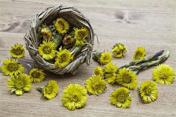 你為什麼總是容易上火？肺火、心火、胃火、肝火、腎火，怎麼治？