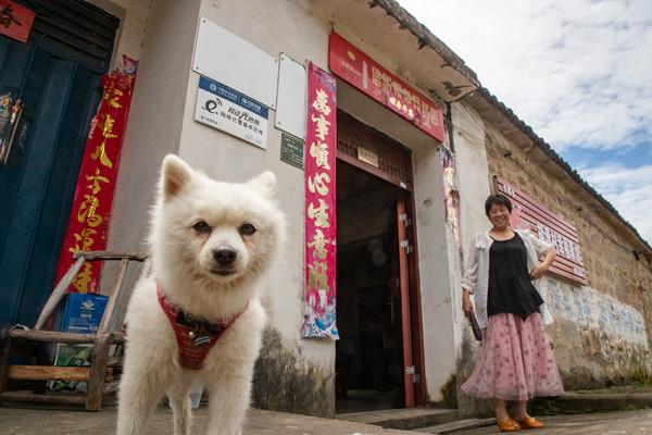 大別山深處“將軍村”，老宅成片，古木參天，盆景扮靚人們新生活