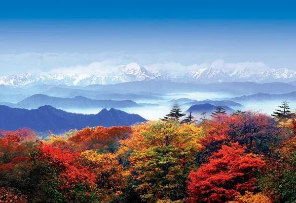 遊峨眉山，為了80元的住宿費，逼得我飆飛演技&hellip;&hellip;我太難了