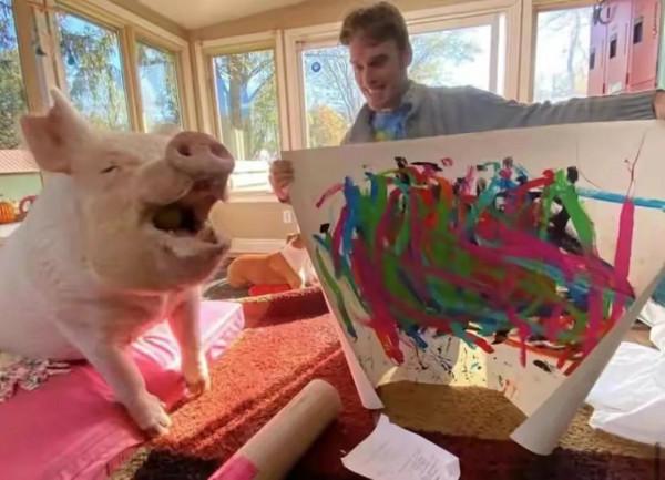 藝術豬生，可以說是豬生巔峰