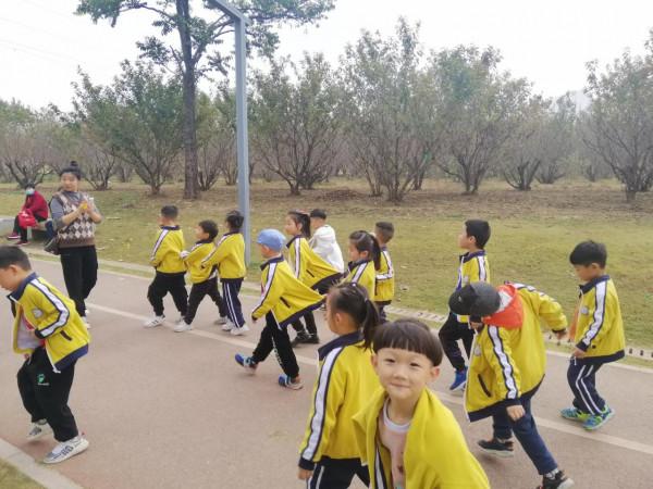 太和縣直幼兒園