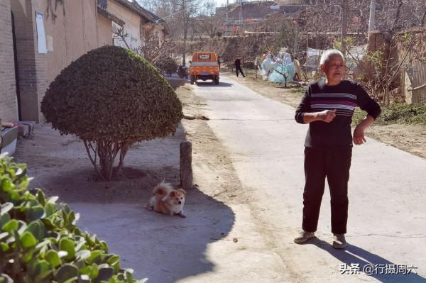 8旬農村大爺養只小狗3條腿，看家護院有本領，看長啥樣