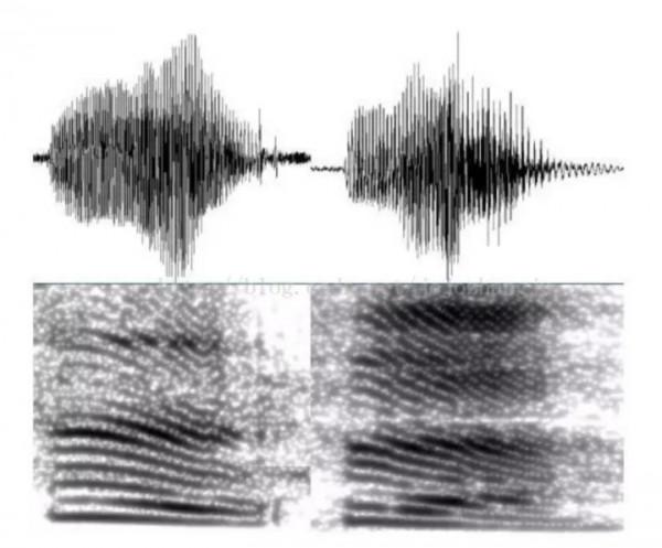 百分點感知智慧實驗室：聲紋識別技術發展及未來趨勢研究