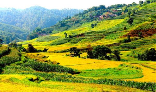 七夕 | 來自七彩雲南的一封情書 七夕 | 來自七彩雲南的一封情書