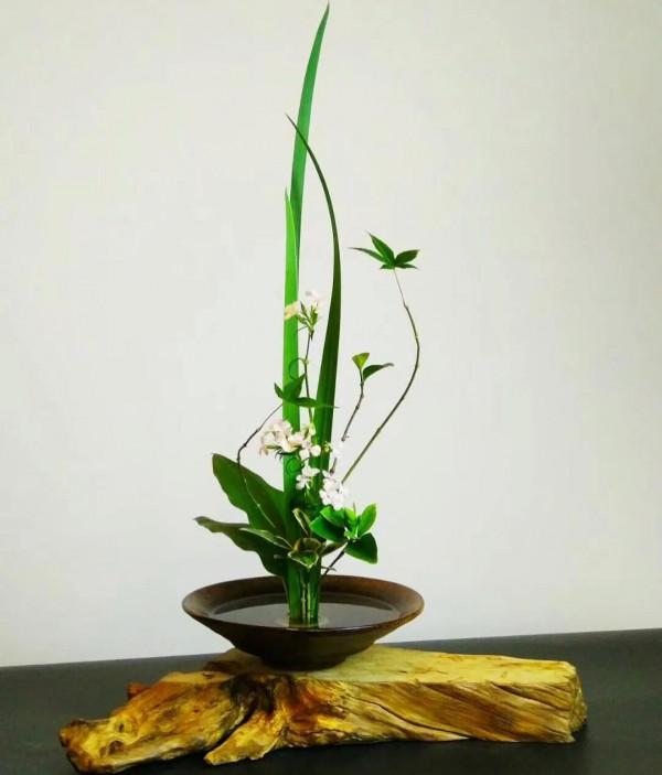 人生難得是糊塗｜九首寬心詩，教你悟透人生，淡看得失