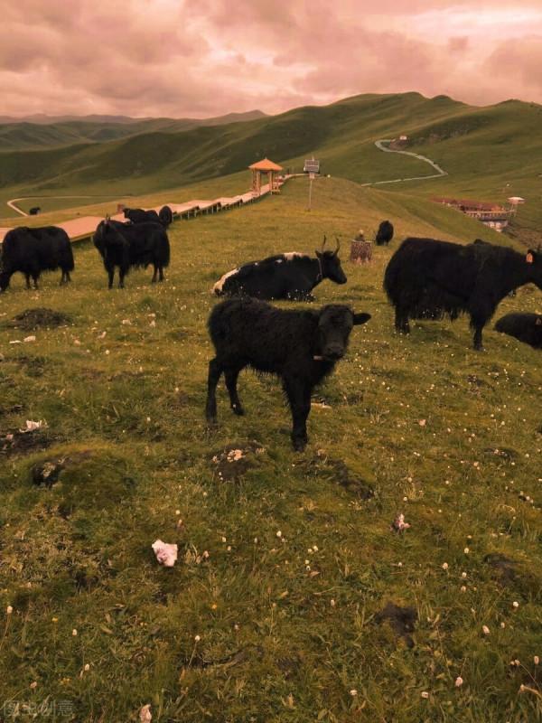 一月最有活力的地方，景色絕美，鮮有人至，值得一去