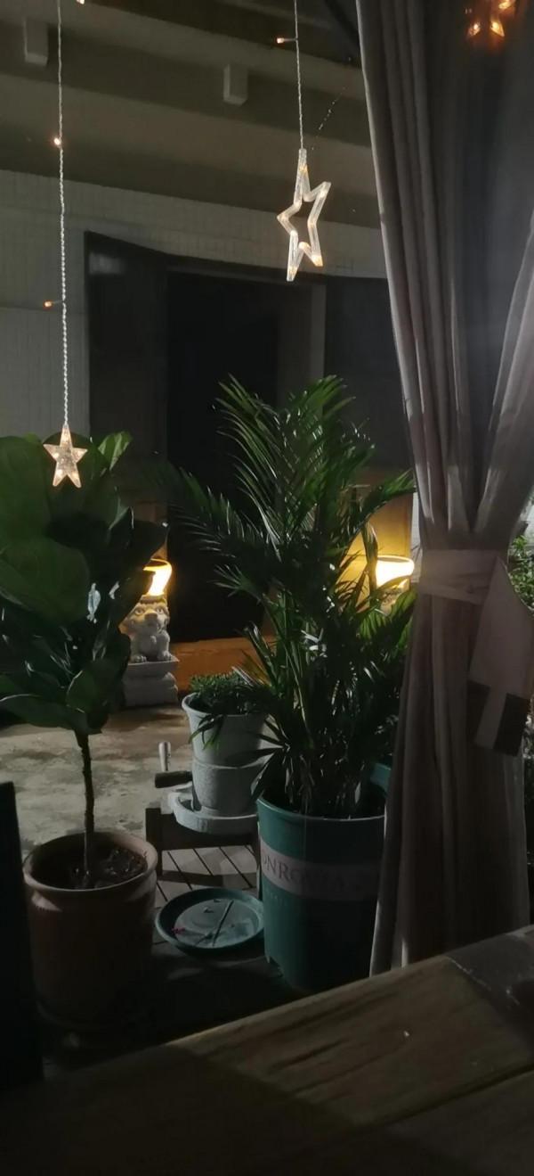 打造這樣的花園需要多少錢？