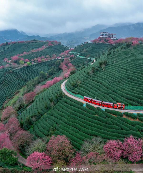 虎年說福 &vert; 春節要打烊？沒關係！咱還可以繼續浪
