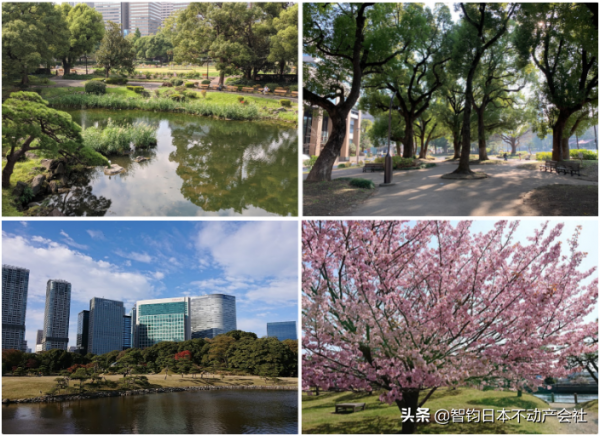 住在JR山手線新橋站附近是什麼感受？