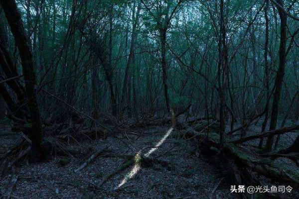 夜釣中碰到的&OpenCurlyDoubleQuote;鬼火&rdquo;，它能跟著人移動，這到底是什麼？