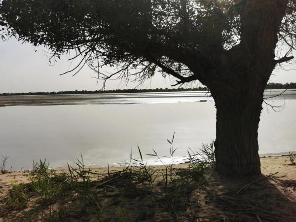 中國唯一的原始部落克里雅人，他們近況如何（青新甘13、14、15）