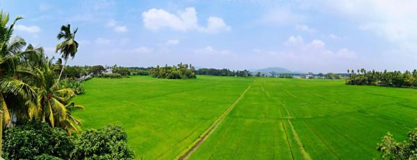 斯里蘭卡之旅(17)蒂瑟默哈拉默 斯里蘭卡之旅(17)蒂瑟默哈拉默