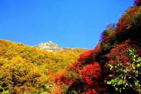 秋季京西這條路，美得如同斑斕的油畫