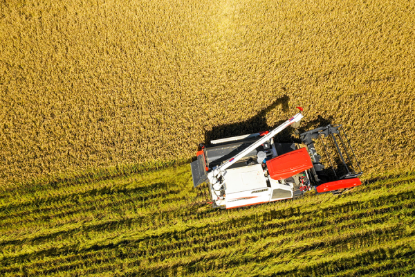一有風吹草動，各國就捂住口袋！陳錫文：全面小康之後，僅僅達到糧食安全是不夠的