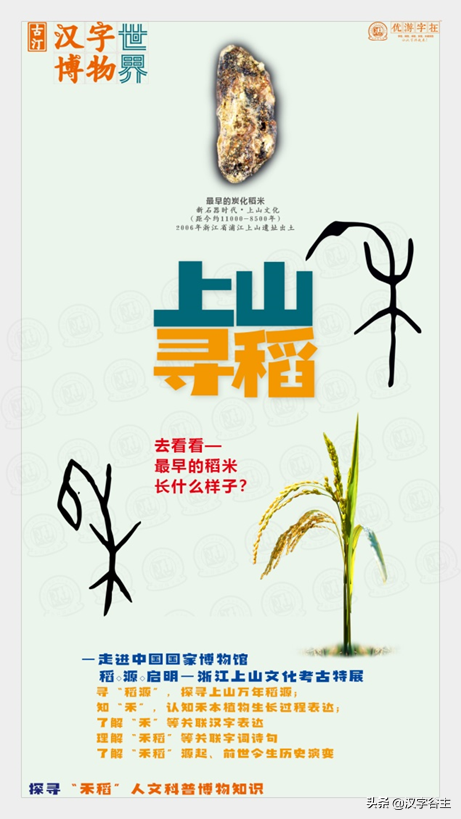 上山尋稻——走進國博“稻·源·啟明”上山文化考古特展