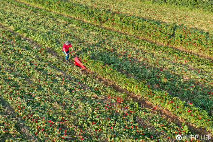 農業農村部：今年農業災情是近10年最輕的一年