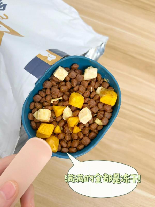 國產犬糧其實也不差！新手養狗可看