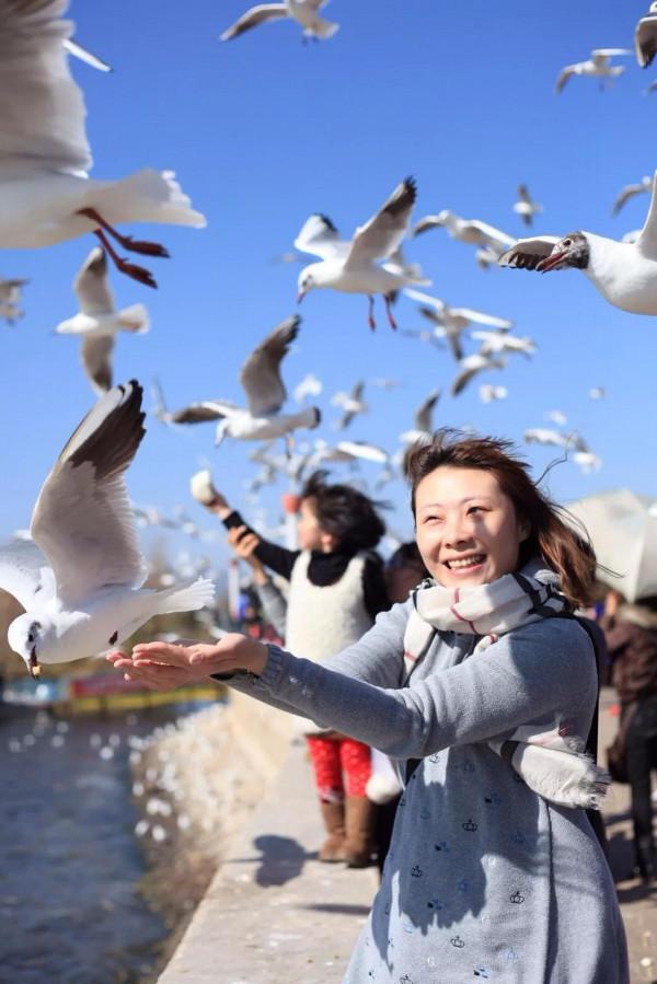 退休老人喜歡餵養海鷗,突發心臟病,海鷗卻成了“救命恩人” 退休老人喜歡餵養海鷗,突發心臟病,海鷗卻成了“救命恩人”