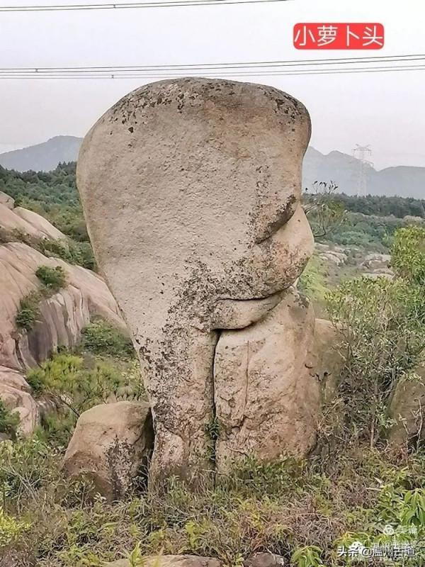 大羅山有處“二師兄”奇石，惟妙惟肖，你可找到過？