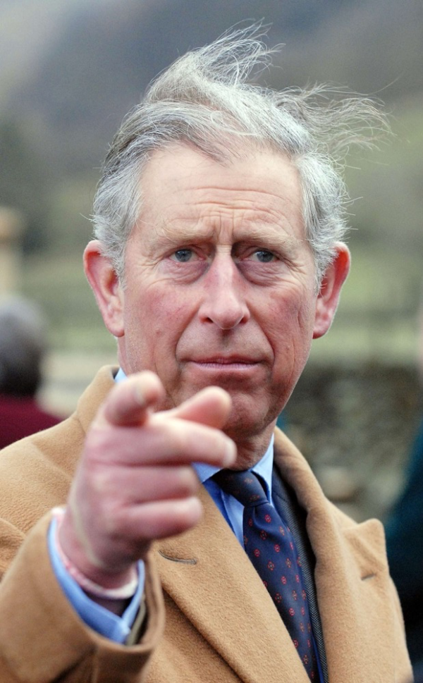 哈里王子沒能擺脫禿頭基因，禿頂明顯，新照片中卻p成滿頭秀髮