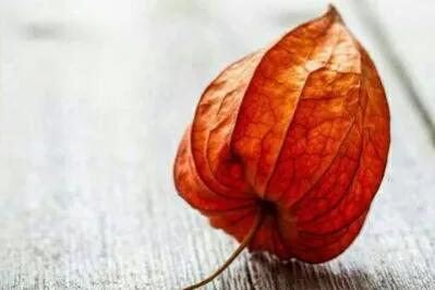 92歲老人的感言：降低慾望，才是長壽和快樂的秘訣