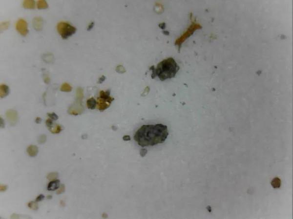 展示一塊月球玄武岩隕石