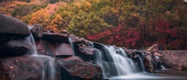 紅葉，唯美風景