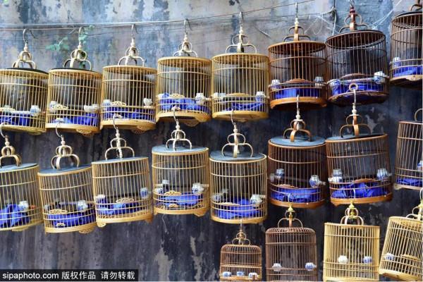 國慶嗨遊京城 | 10號線之旅 國慶嗨遊京城 | 10號線之旅