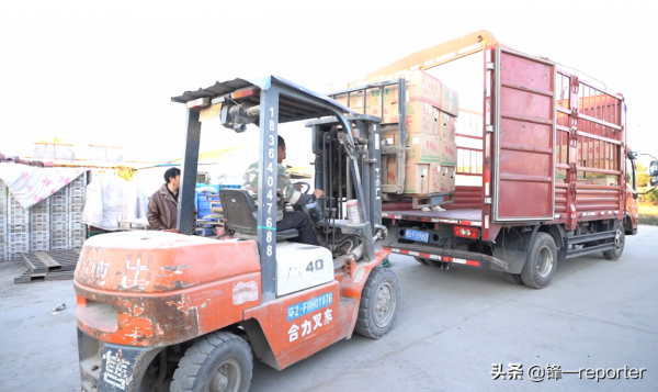 同樣養20萬隻蛋雞，他比別人多收入上百萬元，奧秘是啥？