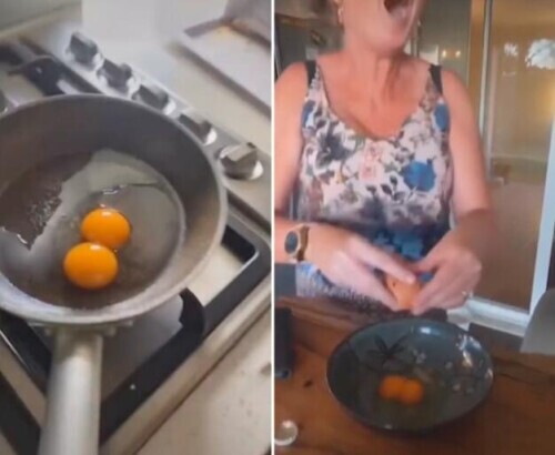 罕見！英國一女子連續8天從一盒雞蛋中打出8個雙黃蛋