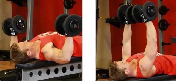 如何鍛鍊胸肌，讓自己的胸肌變好看