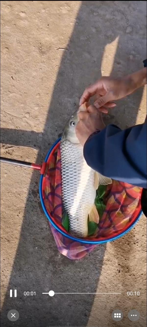 垂釣之旅——日行千里，只為漁你相見