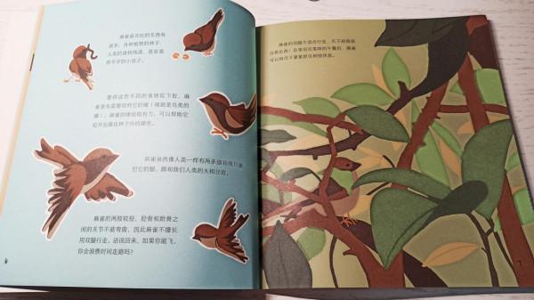 一本既能學知識,又能做手工的兒童動物書 一本既能學知識,又能做手工的兒童動物書