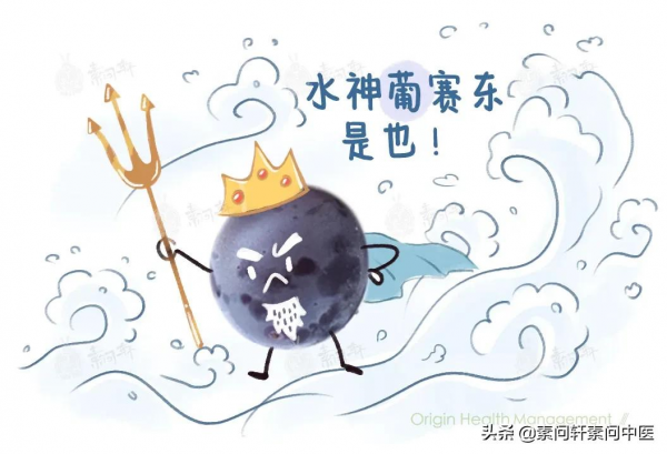 這個水果不僅美味，還有助於補脾、養肝、滋腎，一步到位