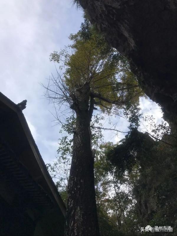 別有洞天的南雁東西洞，你知道它們的由來嗎？