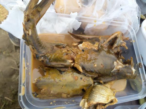 光會釣魚不算一個合格的釣魚人