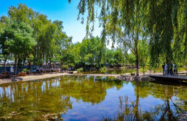 黃土高原還能長這樣？