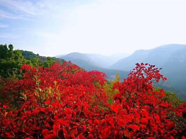 太行山最美的秋色在這裡
