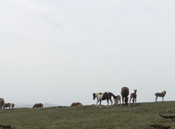 徒步五臺山，大霧中前行，風雲變幻，有計劃去的帶好裝備
