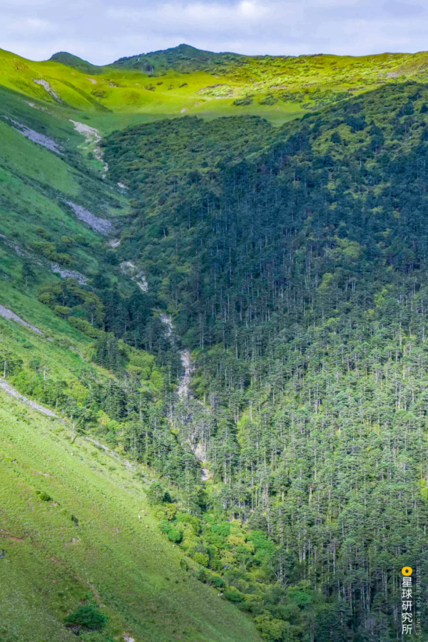 四川從哪裡來? 四川從哪裡來?