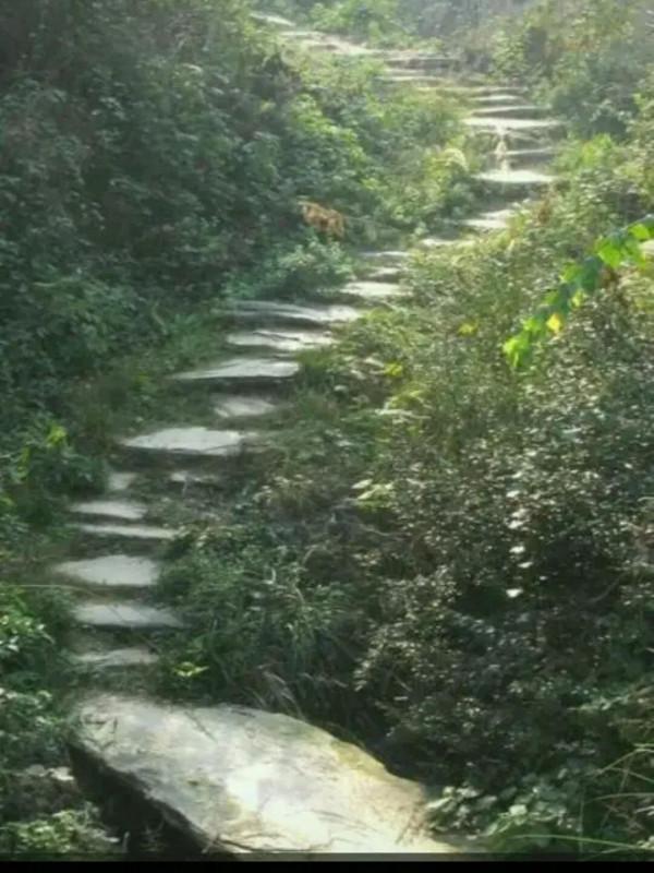 湖北名縣，歷史名城：湖北省監利市