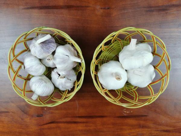 買菜回到家,別帶著塑膠袋放進冰箱,我也是剛知道 買菜回到家,別帶著塑膠袋放進冰箱,我也是剛知道