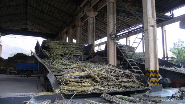 褚時健的5條創業公式