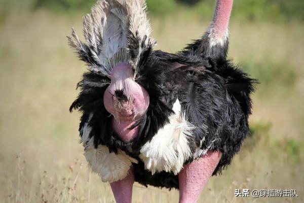 一群對屁著迷的科學家做了什麼? 一群對屁著迷的科學家做了什麼?