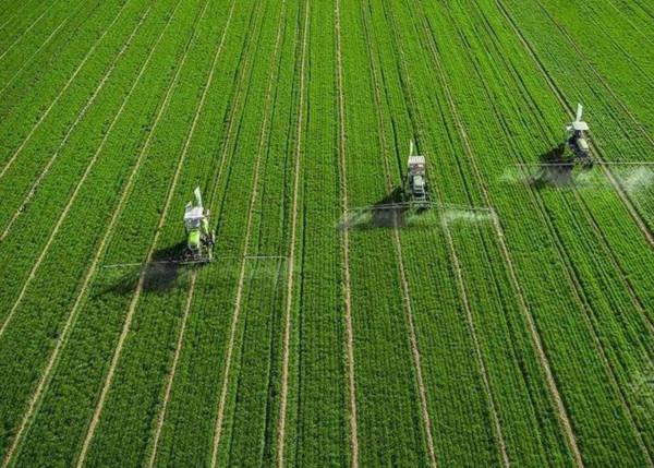 “中國農業產業商城”帶動西南農產品走向全球