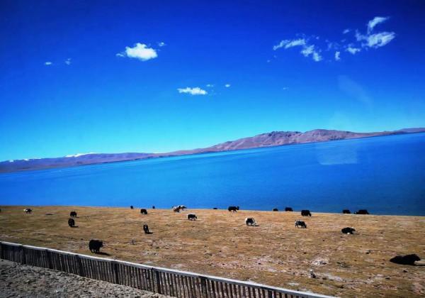 人生一定要坐一趟北京到拉薩的Z21次列車