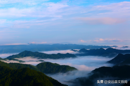 江西這個98%森林覆蓋率的“天然氧吧”,年均氣溫15.1℃,雲端之上的絕美林海超治癒! 江西這個98%森林覆蓋率的“天然氧吧”,年均氣溫15.1℃,雲端之上的絕美林海超治癒!