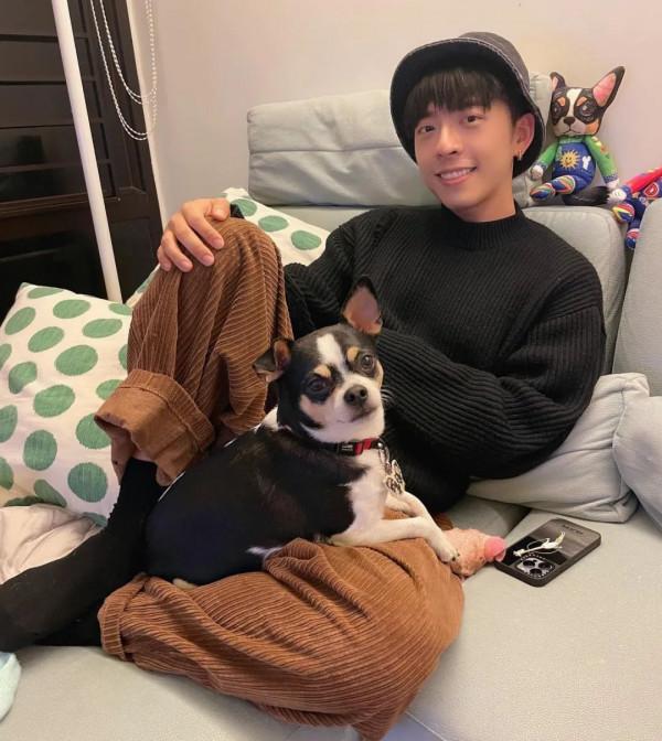 52歲主持人阮小儀養狗為樂，愛犬去世後，用1年時間才走出悲痛