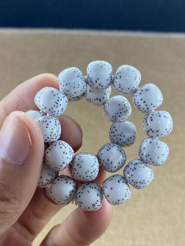 星月菩提哪一種比較好? 星月菩提哪一種比較好?